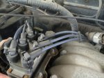 Ignition Wires on Manifold.JPG