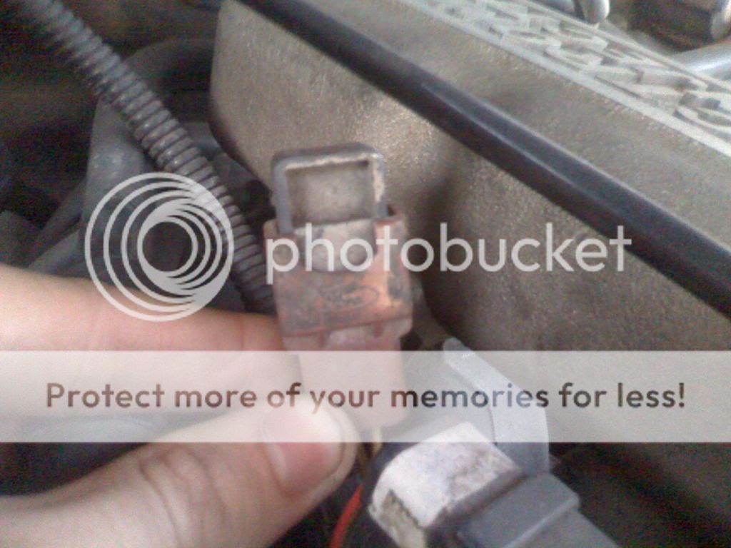 moto_0033.jpg