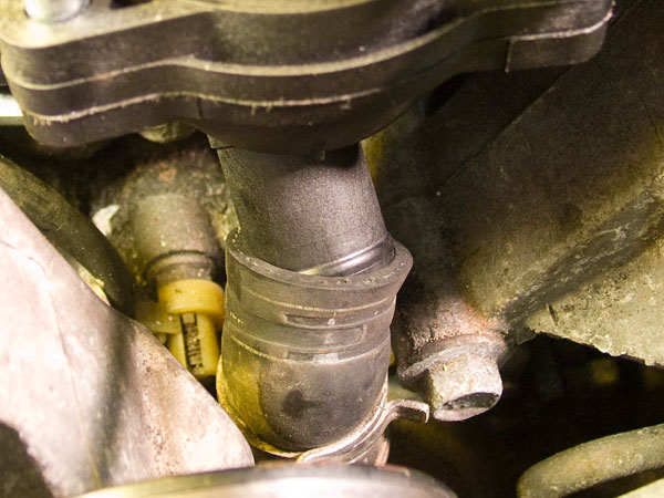 lower-hose