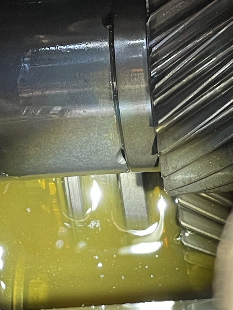 66144