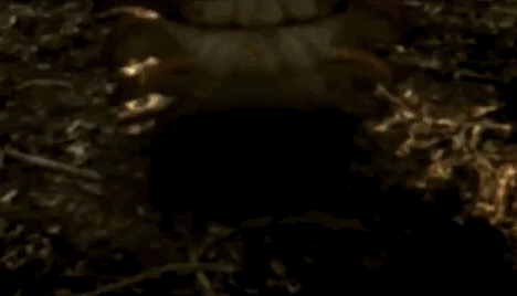 0d6cdc4bbacf9e2a644e1cb6d4a85ae5.gif