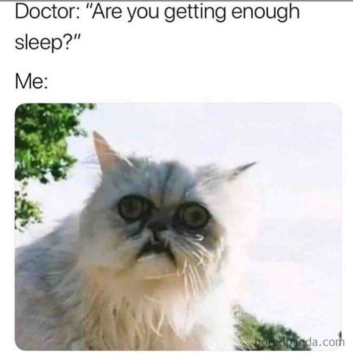 1000000359.jpg