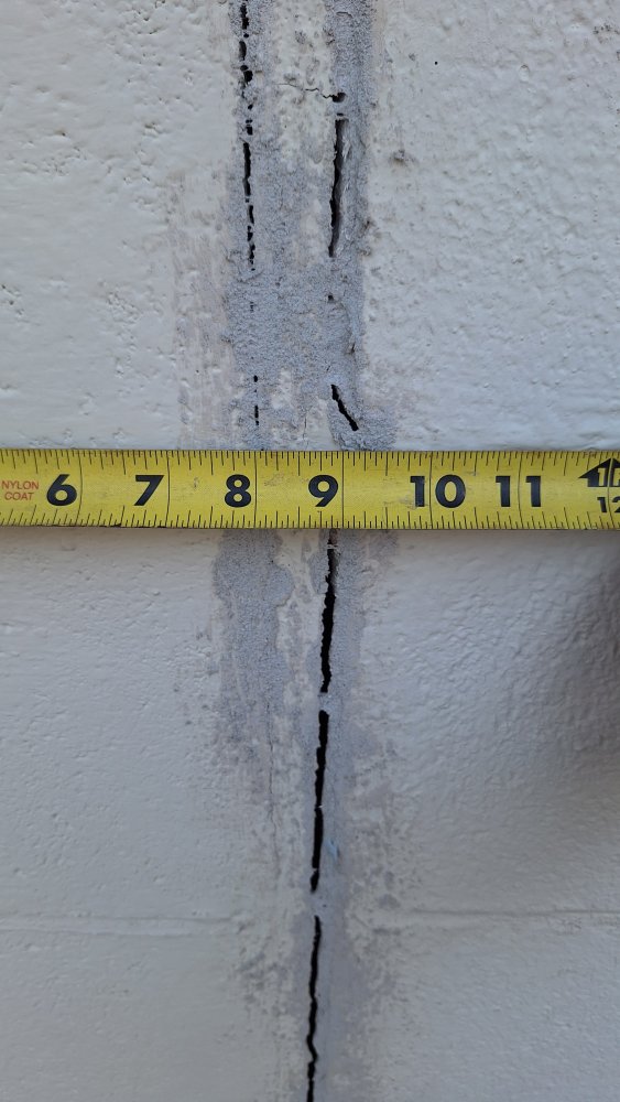 1000009986.jpg