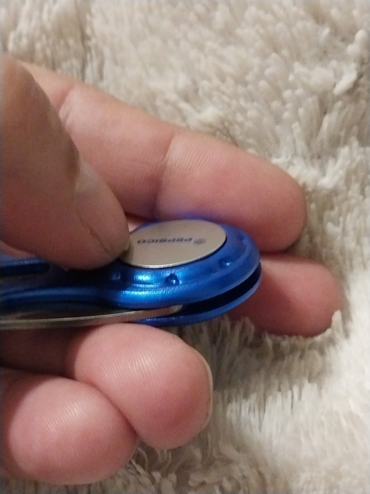 1000011279.jpg