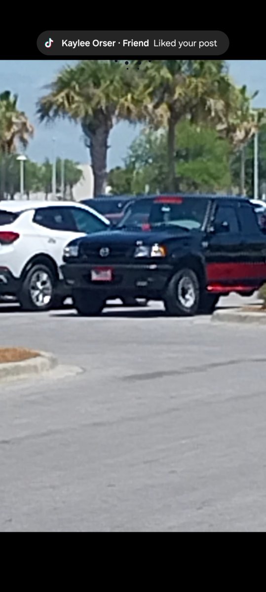 1000019041.jpg