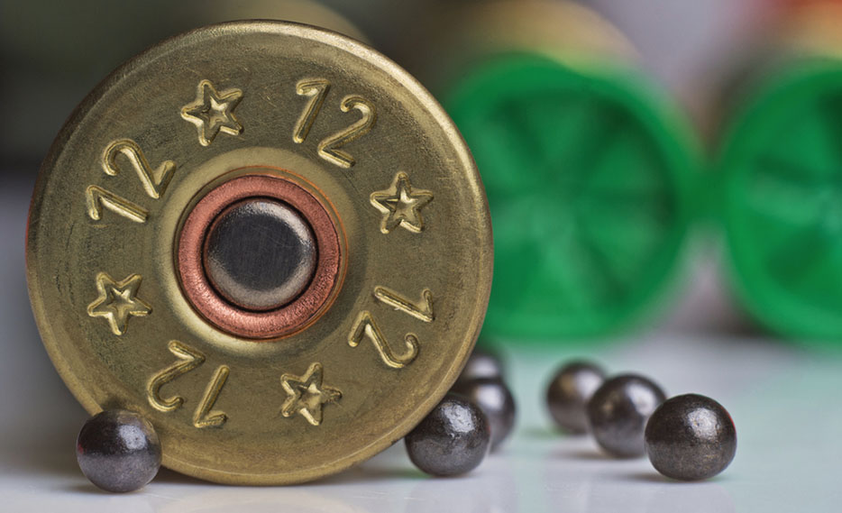 12-gauge-shotgun-shell-closeup.jpg