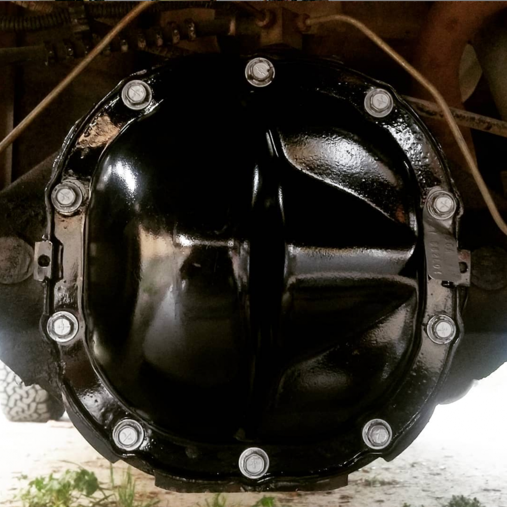 41569