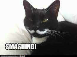 SMASHING! - Lolcats - lol | cat memes | funny cats | funny cat pictures  with words on them | funny pictures | lol cat memes | lol cats