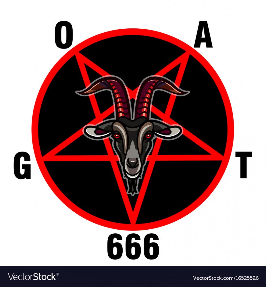 39206