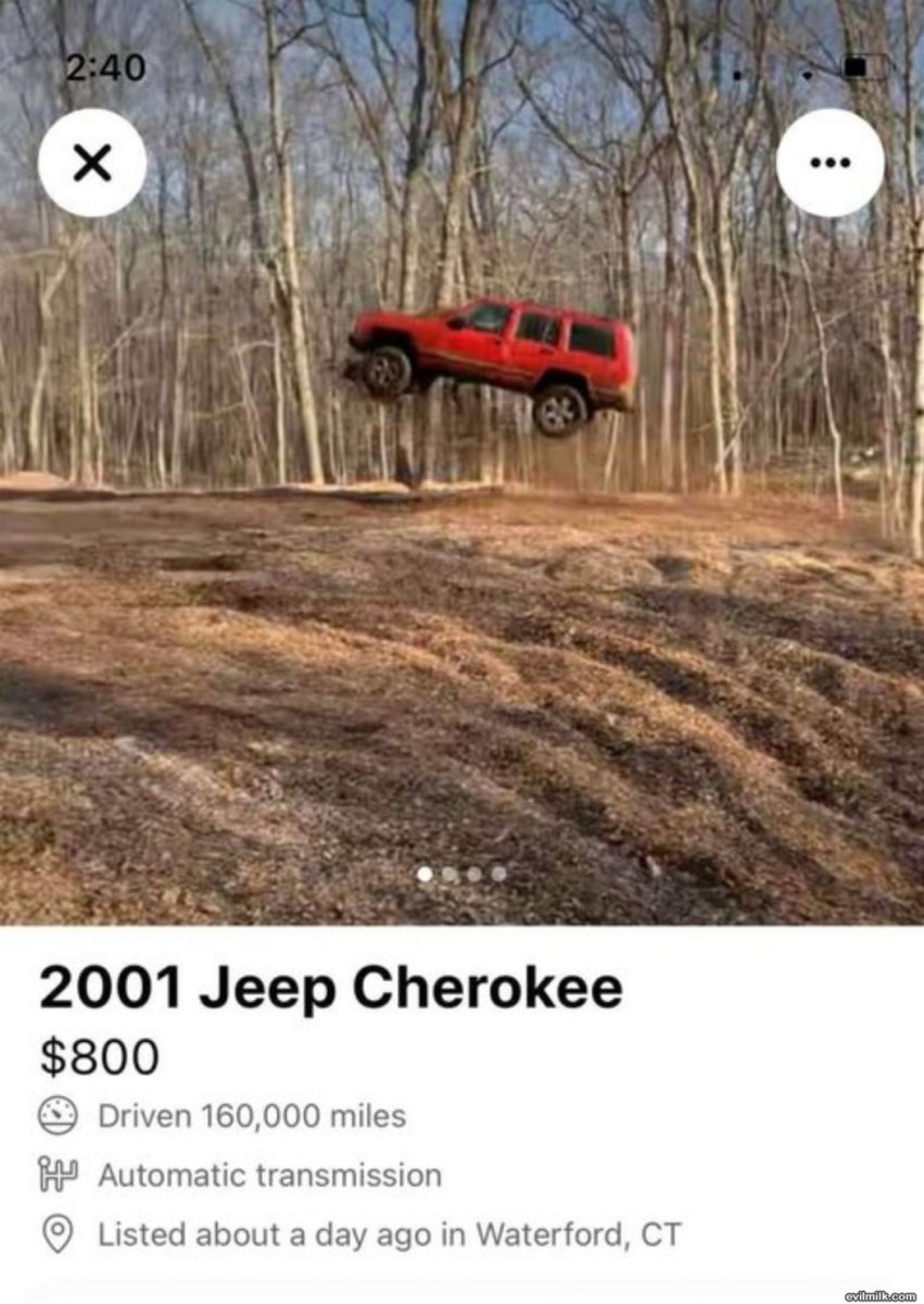 1740950467390.jpeg