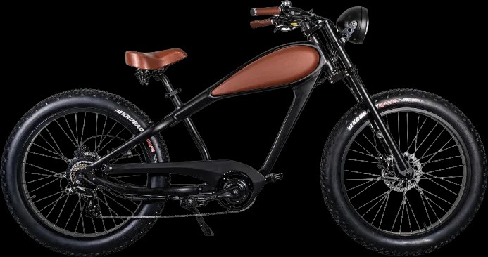 Any bicycle enthusiasts?
