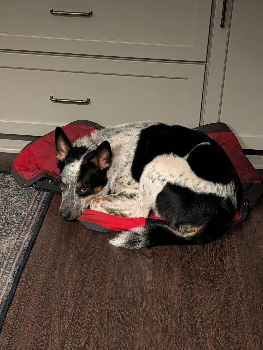 PlumCrazy's 88 SuperCab 2.3T Build