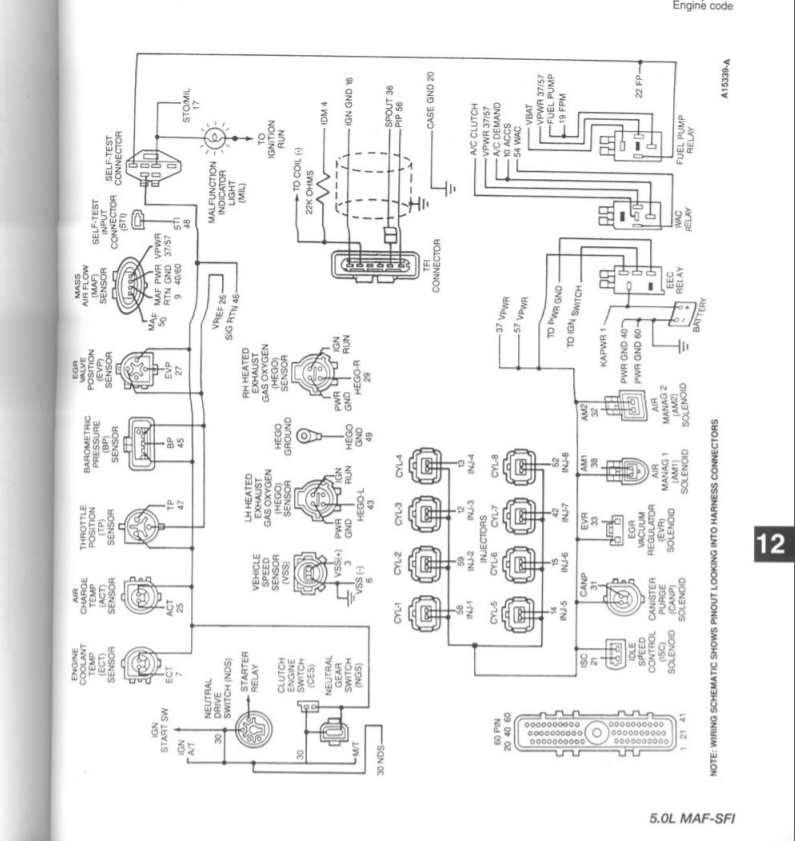 1993 Mustang Harness EEC.PNG
