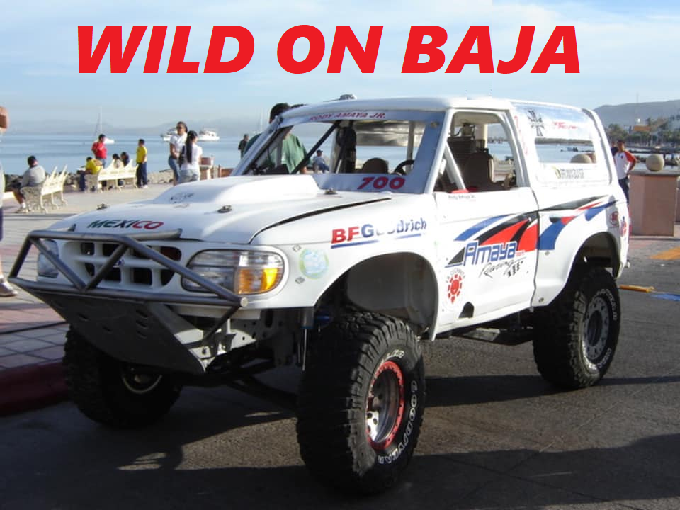 1996_ford_bronco_ii.png