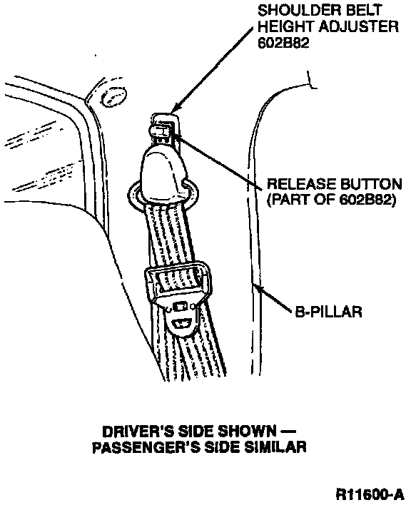 seat belts