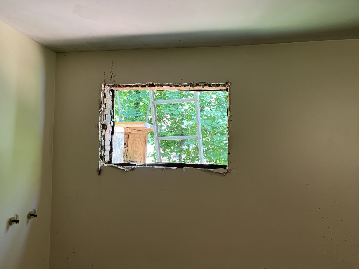 1CDB8A5D-2C09-4591-AEA2-067C4B43EA13.jpeg