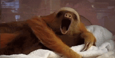 200 (1).gif