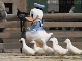 200 (5).gif