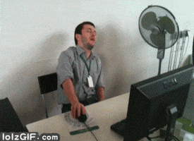 200 (6).gif