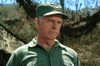 200w.gif
