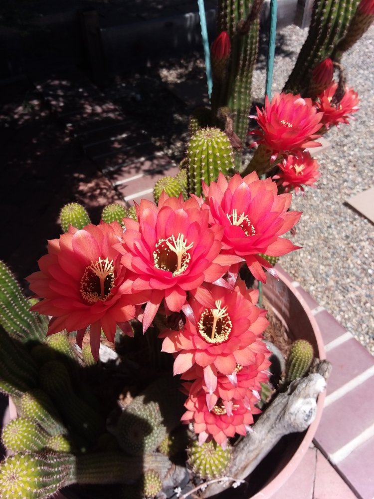 20180604_141418.jpg
