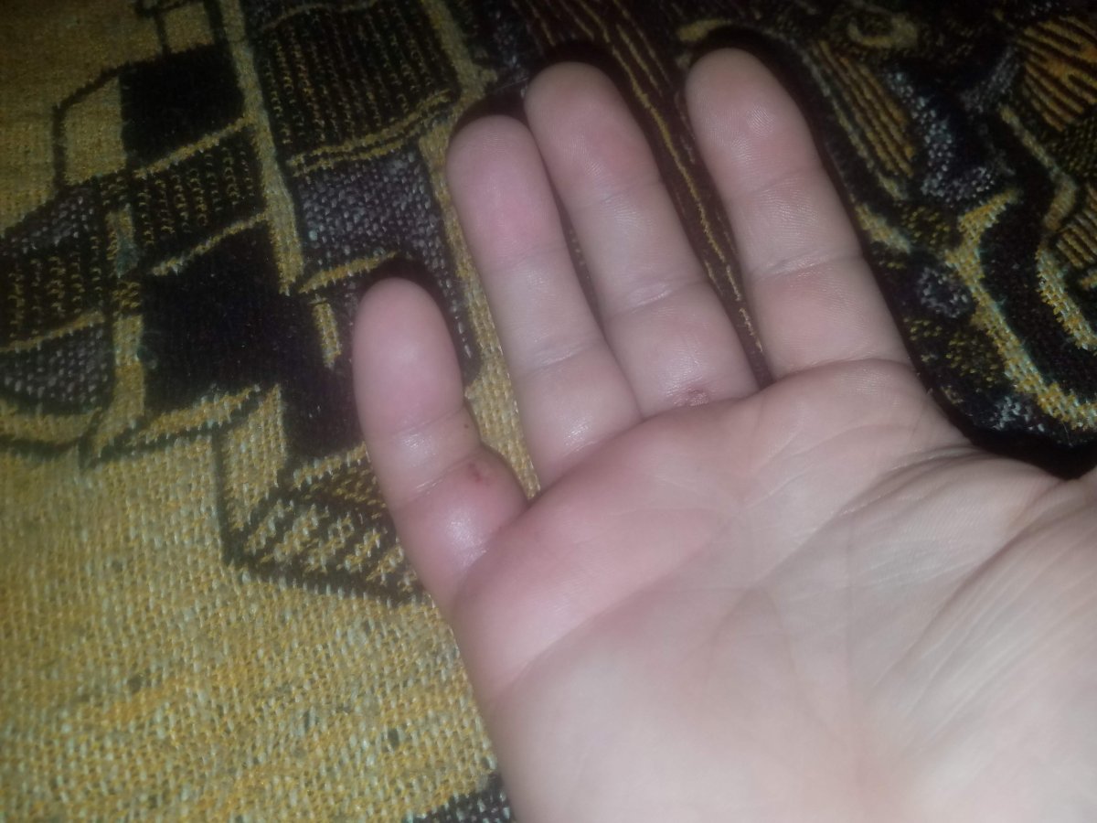 20180725_161403.jpg