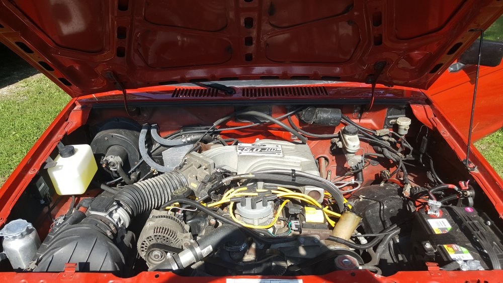 20180802_155653 - Copy.jpg
