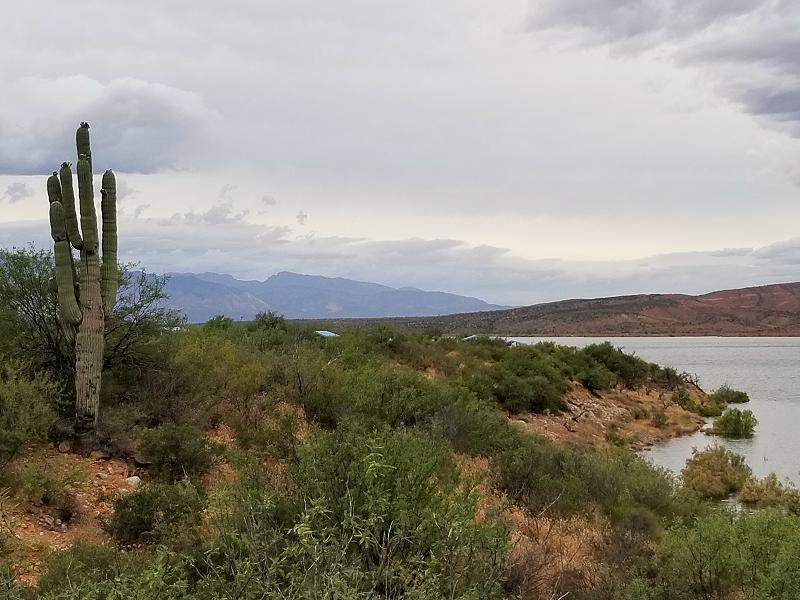 20190519_184535.jpg