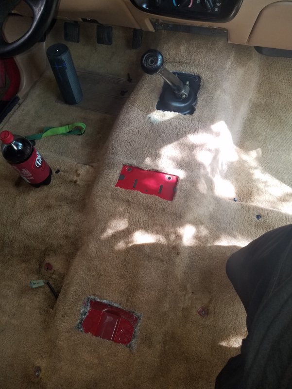 20190617_160918.jpg