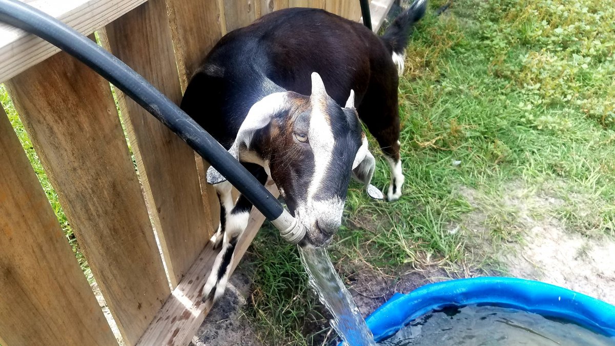 20190726_163249.jpg