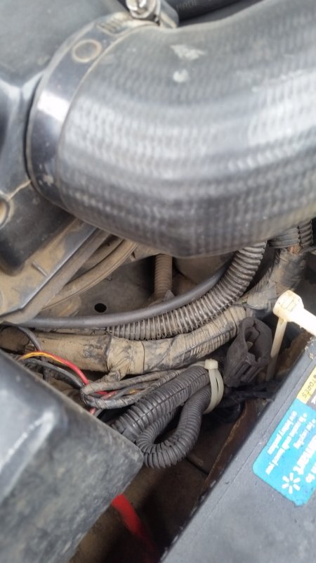 Urgent!  Starter wire routing