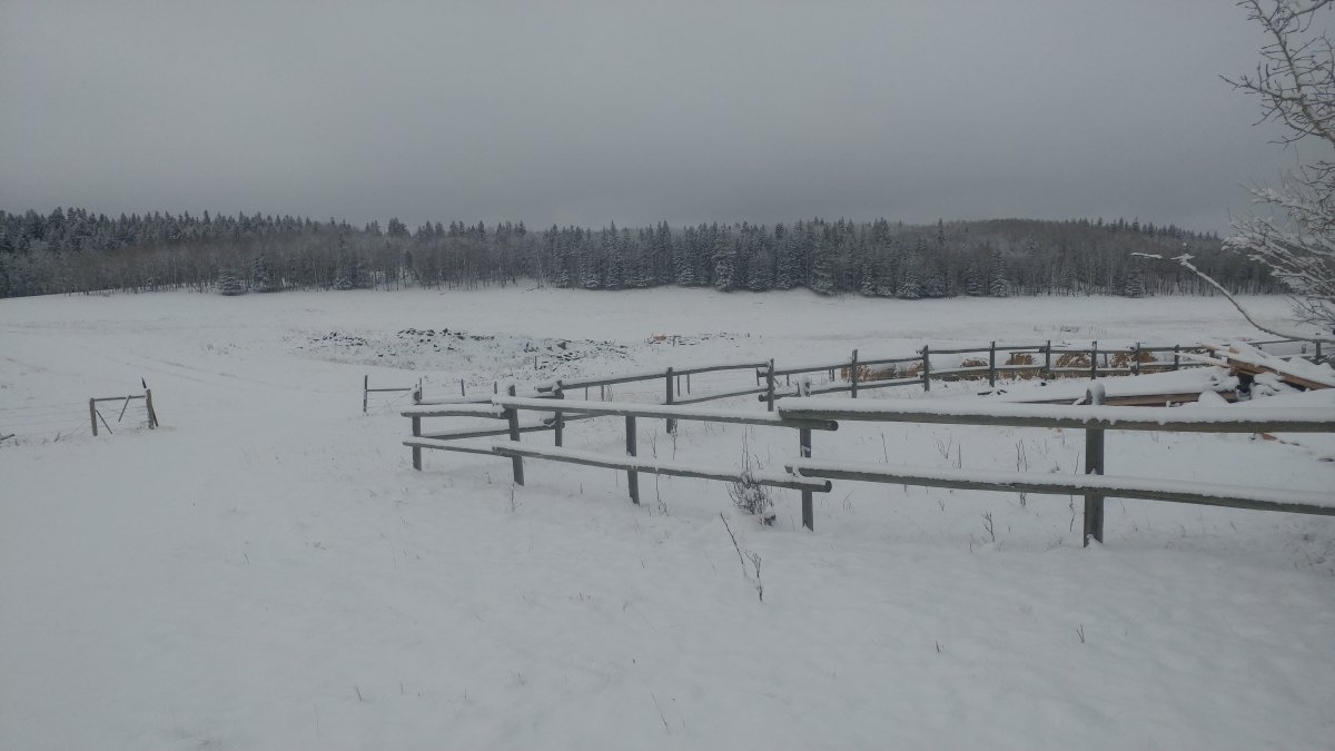 20191104_102832_HDR.jpg