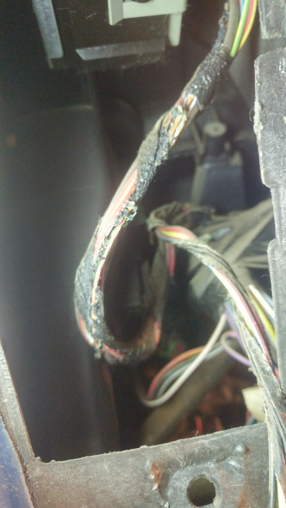 20191231_185009_HDR.jpg