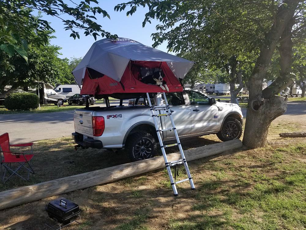 2019_ford_ranger_tat_day-17-2.JPG