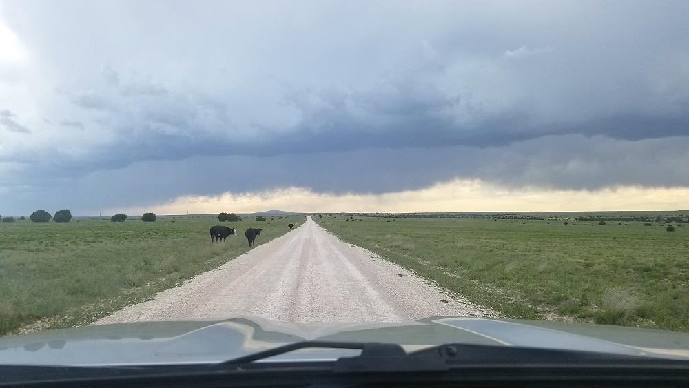 2019_ford_ranger_trans_america_trail-new-mexico-3.JPG