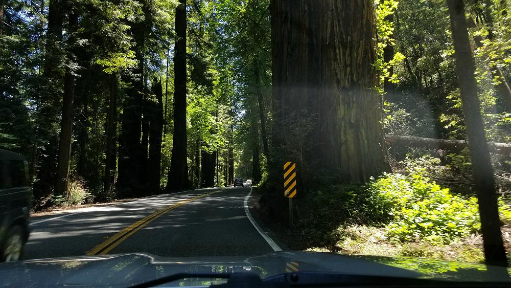 2019_ranger_adventure_day-15-7.JPG