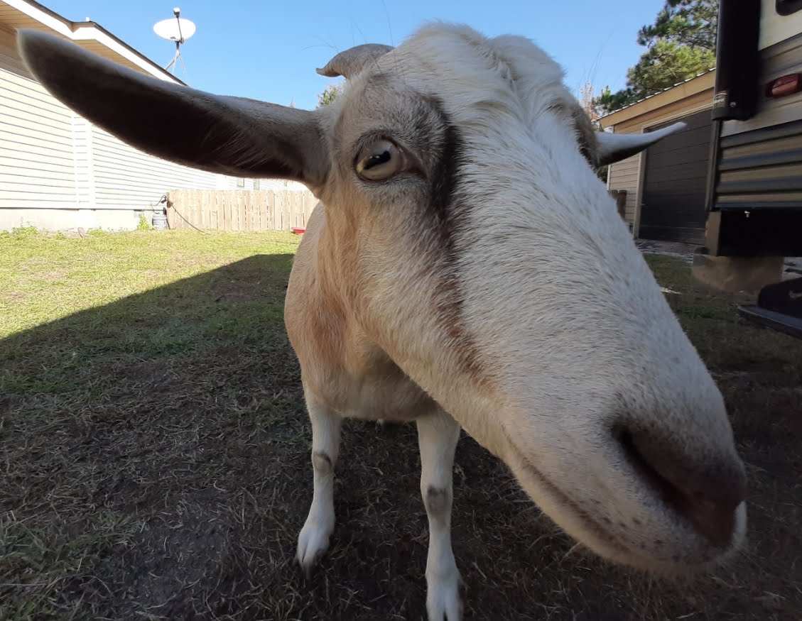 Can you identify this