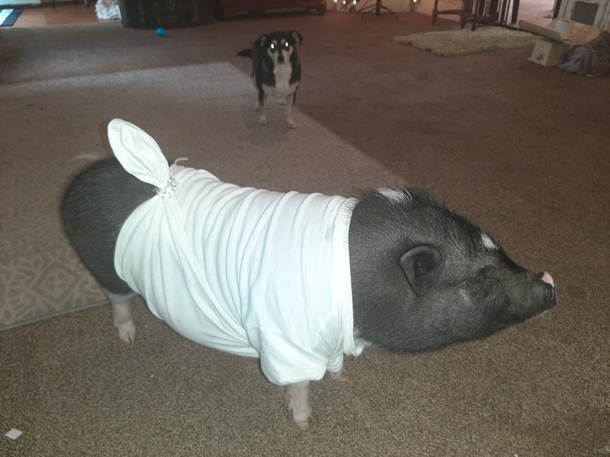 20201125_142723.jpg