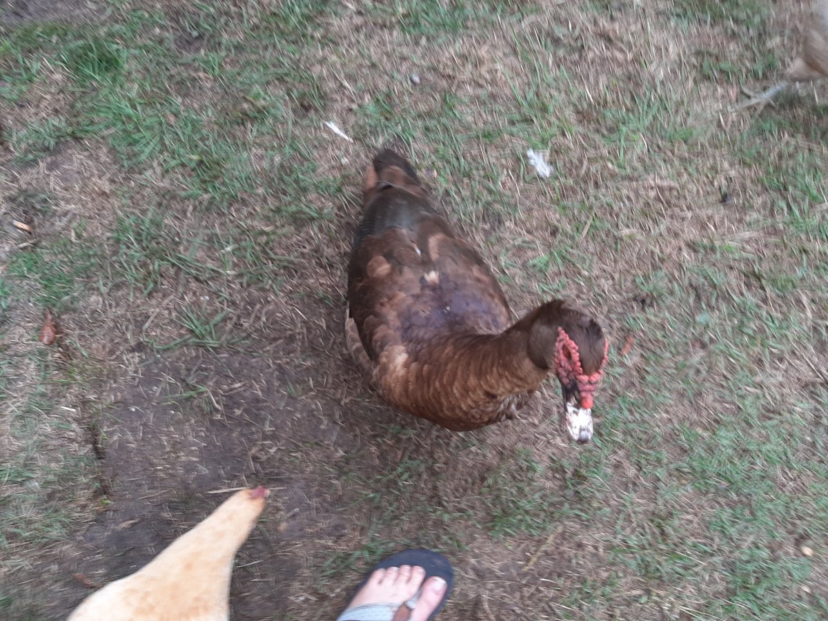 20201129_154856.jpg