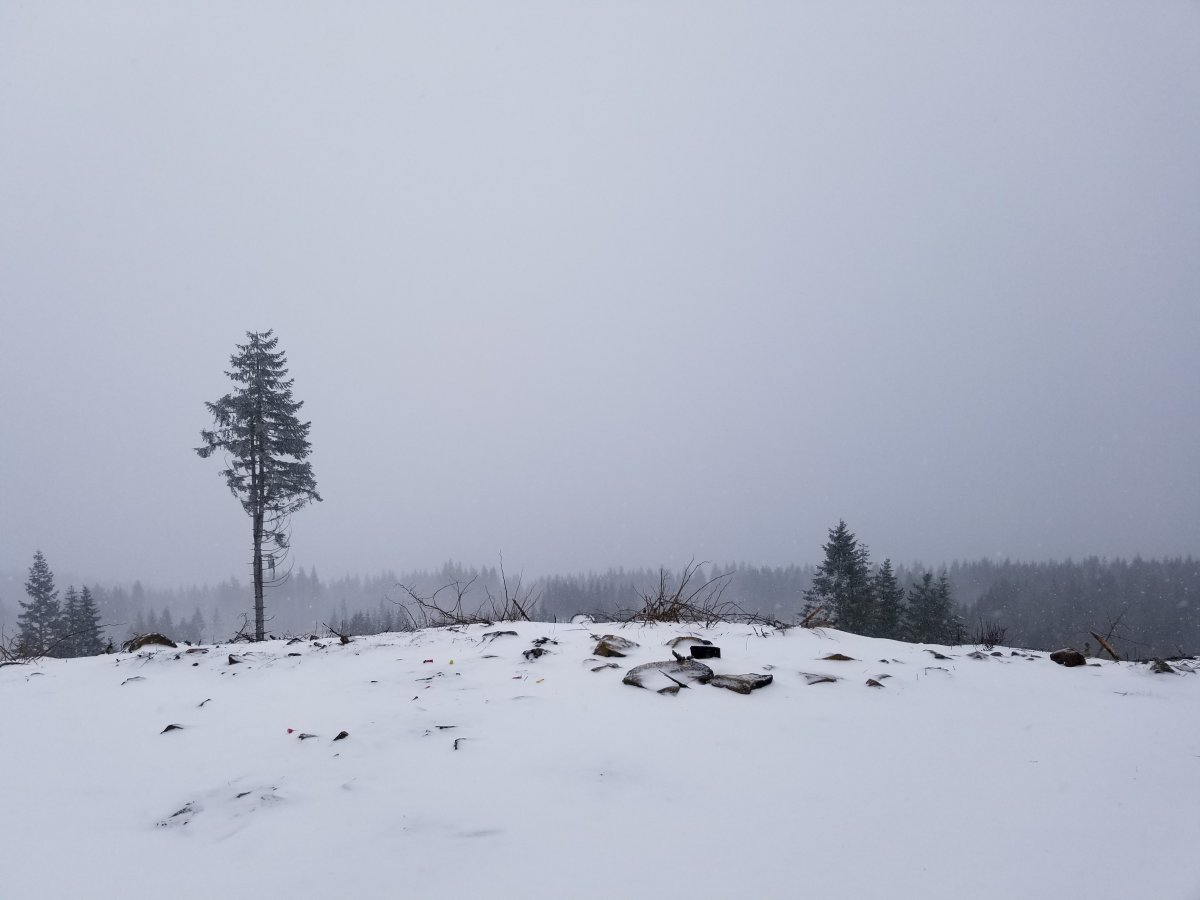 20210212_133502.jpg