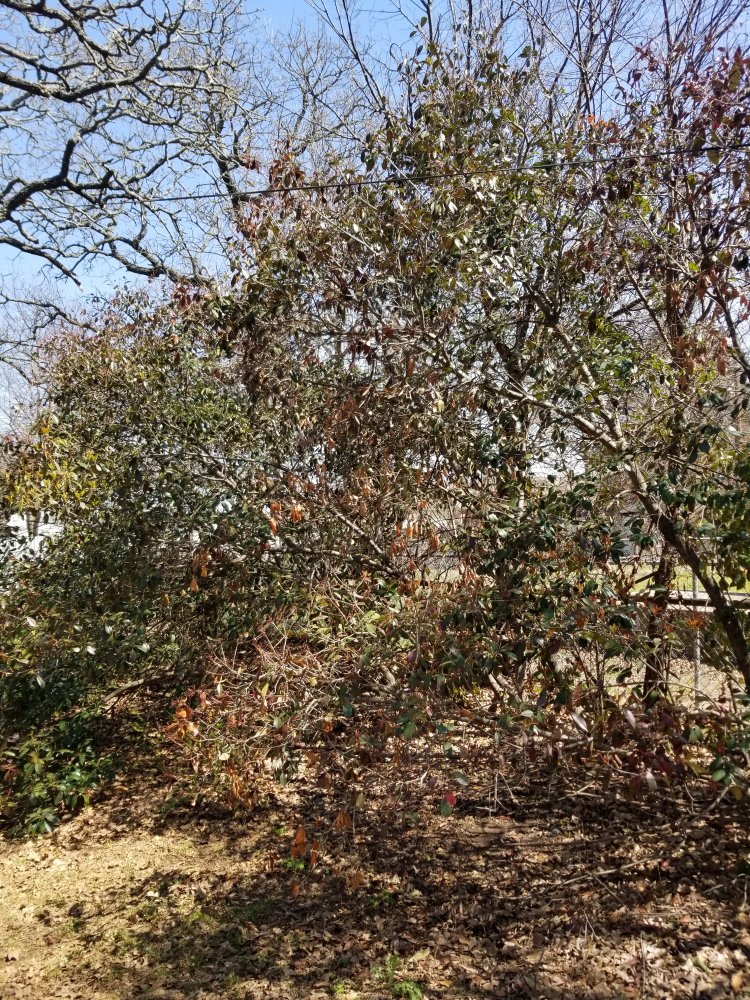 20210320_144839.jpg