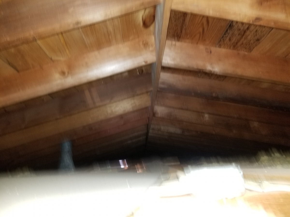 20210417_113242.jpg