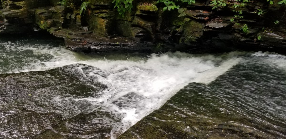 20210604_110158.jpg