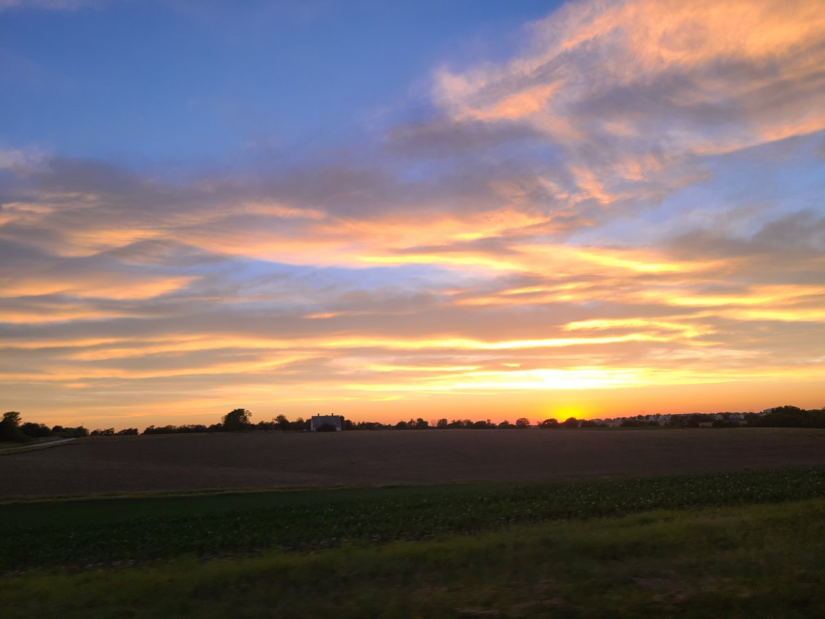 20210606_205030.jpg