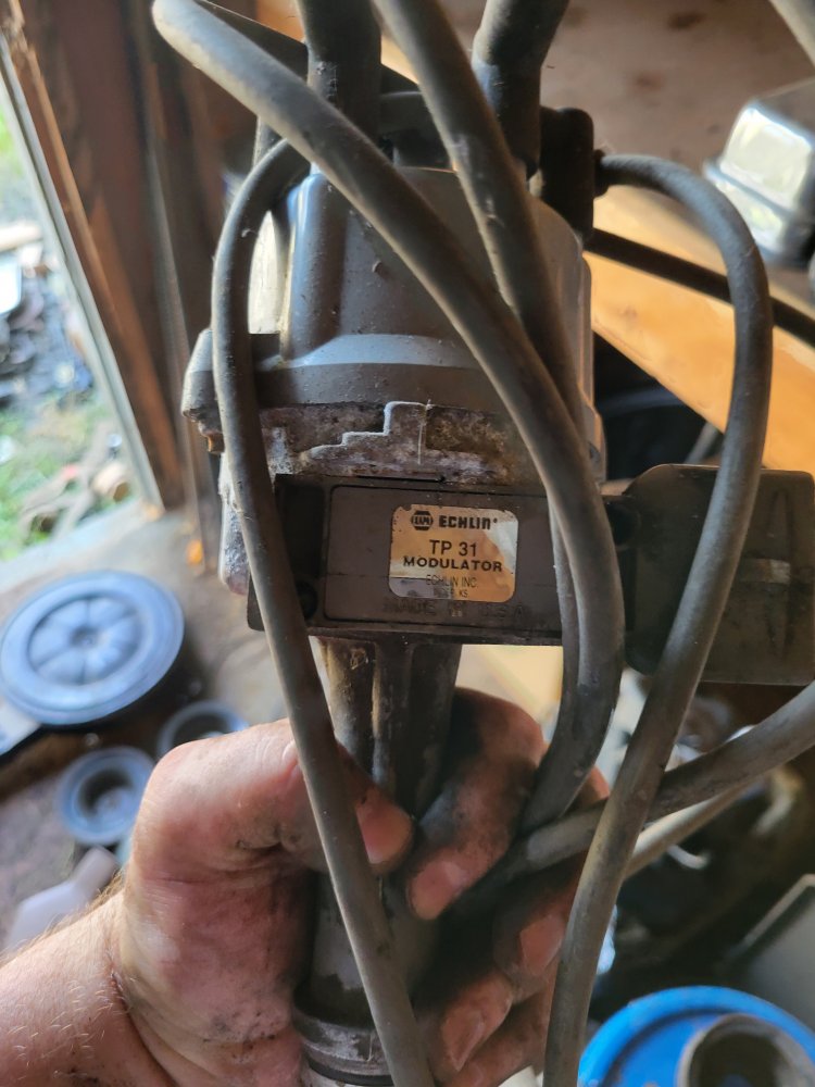 Can you identify this