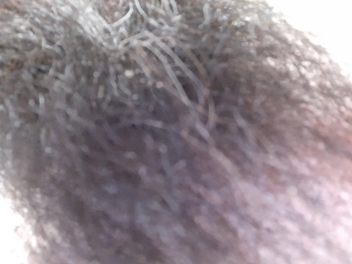 20210817_185825.jpg