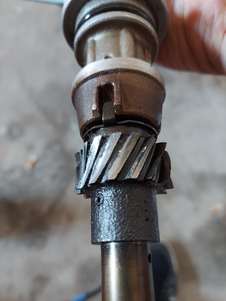 NEED HELP