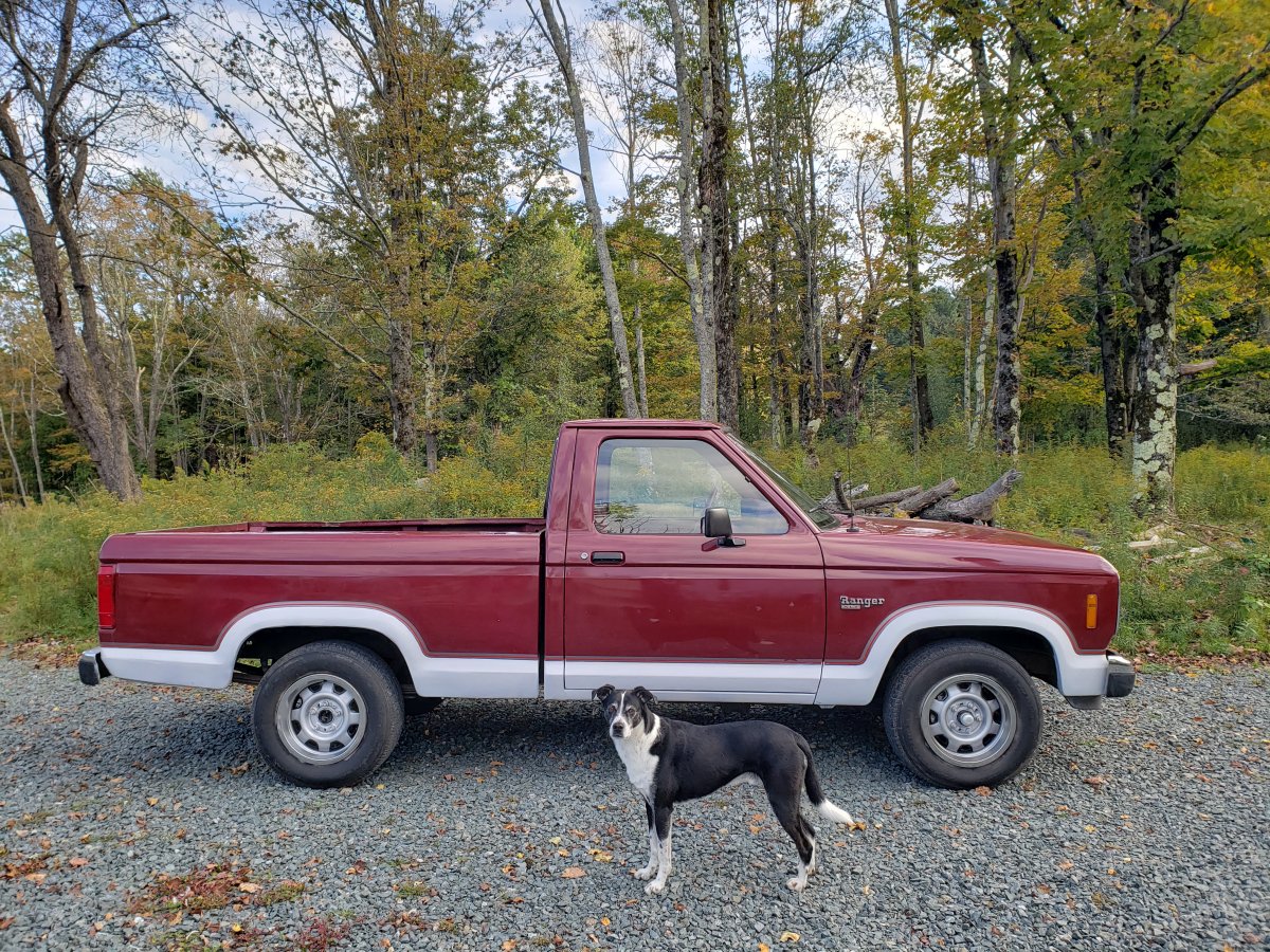 Just bought an 88 Ranger