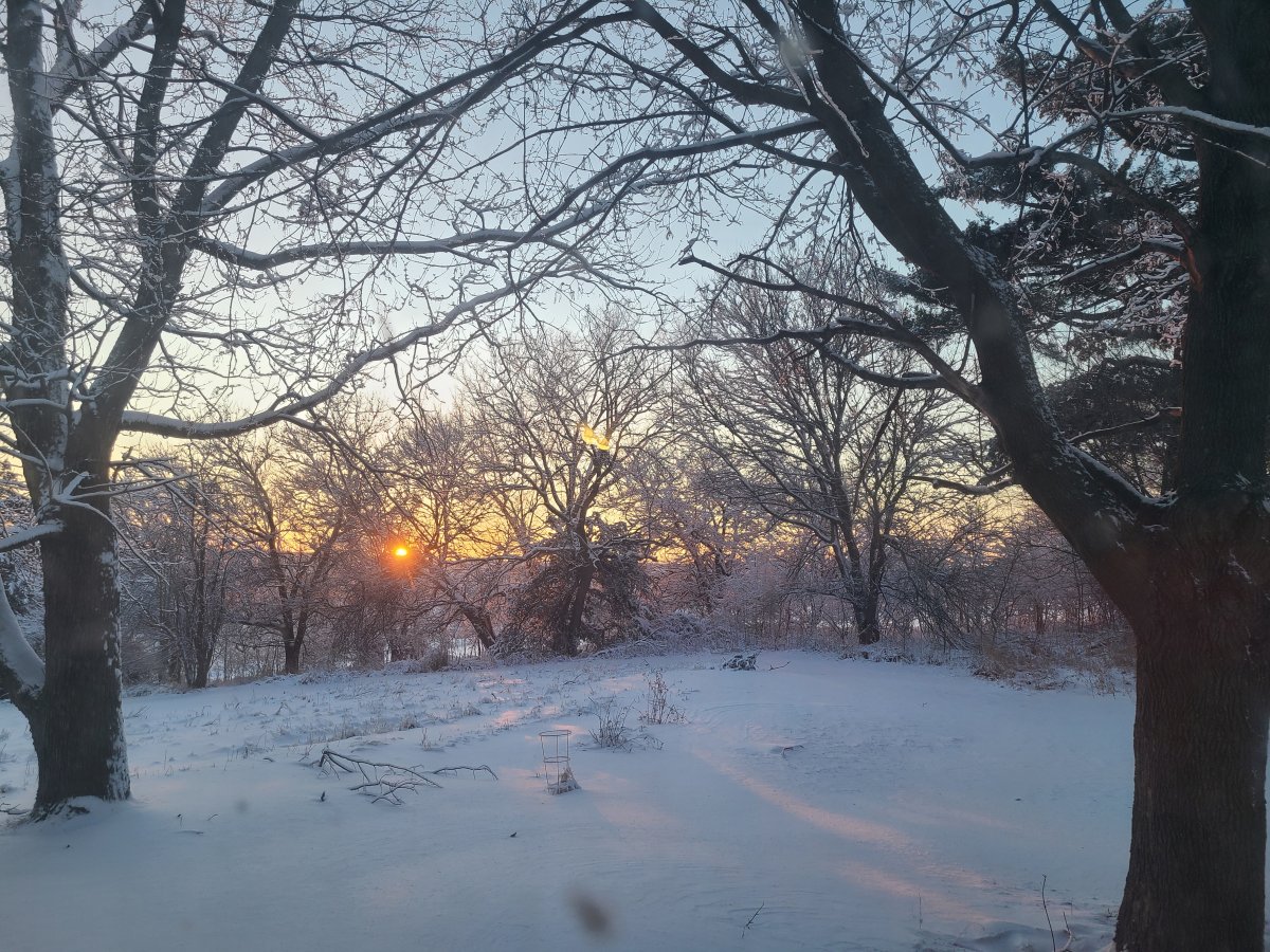 20220115_170841.jpg