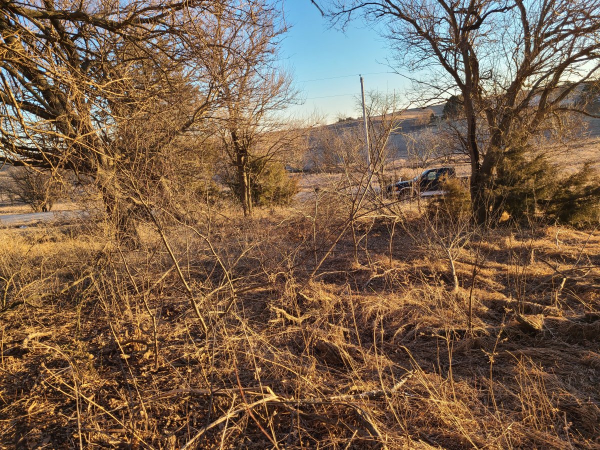 20220219_173030.jpg